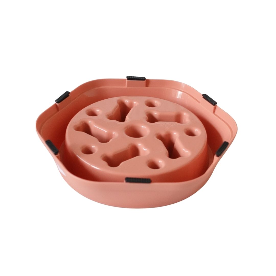 Slow Pet Feeder Non Slip Bowl